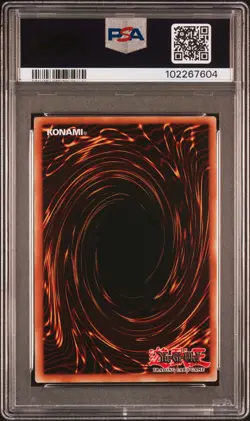 2024 YU-GI-OH! MP24-25TH ANV TIN: DUELING MIRRORS DARK MAGICIAN GIRL PSA 9 - Image 2