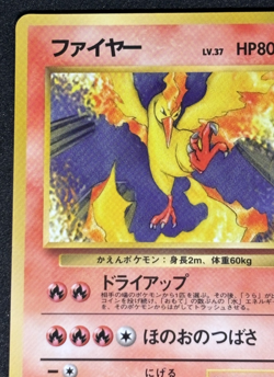 Moltres Pokemon Card Japanese No.146 Quick Starter Gift Vintage Glossy - Image 3