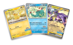 Pokemon Illustration Contest Promo Card 2024 - 3 Card PROMO Pack NEW SEALED - Image 1