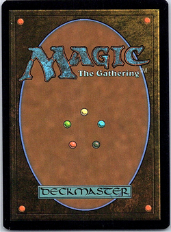 Don & Raph, Hard Science #205 Teenage Mutant Ninja Turtles Borderless Regular R - Image 2