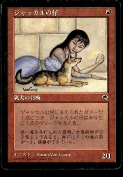 Jackal Pup 183 Uncommon Tempest Japanese Magic: The Gathering ~ HP - Image 1