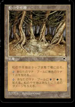 Pine Barrens Tempest Japanese Magic: The Gathering ~ HP - Image 1