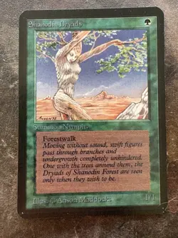*** ALPHA Shanodin Dryads *** NM-MT! - DUTY FREE - MtG Magic - Image 1
