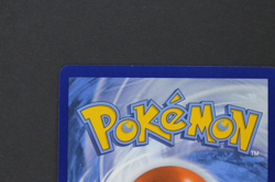 Mega Lucario EX 160/132 MEG Full Art Mega Evolution - Pokemon ParkJero LP - NM - Image 4