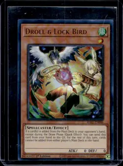 2024 Yu-Gi-Oh! 25th Rarity II English 1st Droll & Lock Bird #RA02-EN006a - Image 1