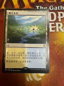 Flooded Strand (ZHS) KTK S-Chinese NM MTG - Image 1