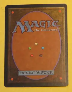 Enlightened Tutor Mirage Regular - Image 2