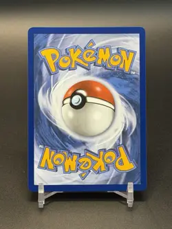 Pokemon 2026 First Partner Illustration Collection Series 1 Promos Set 3 Cards - Image 3