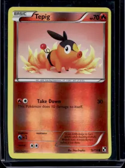 2011 Pokemon Black & White Tepig Reverse Holo #16/114 - Image 1