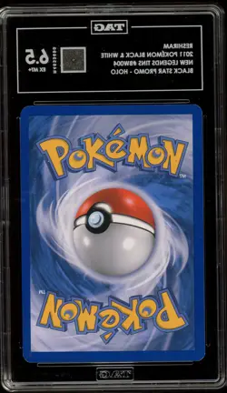 Pokemon Reshiram Black & White New Legends Tins Holo Promo BW004 TAG 6.5 - Image 2