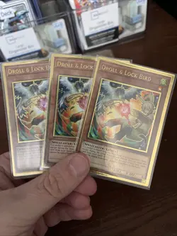 Yugioh - Droll & Lock Bird (Alt Art) - Gold Rare - 1st Edition - MAGO-EN006 - LP - Image 1