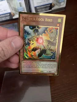 Yugioh - Droll & Lock Bird (Alt Art) - Gold Rare - 1st Edition - MAGO-EN006 - LP - Image 4