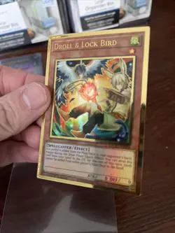 Yugioh - Droll & Lock Bird (Alt Art) - Gold Rare - 1st Edition - MAGO-EN006 - LP - Image 5