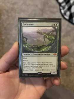 Endurance - Modern Horizons 2 - Image 1