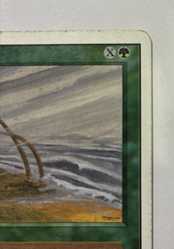 Hurricane Unlimited Edition (2ED) Magic the Gathering 1993 Uncommon MP - Image 4