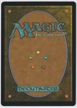 Undercity Sewers (Borderless) 0020 TNMT: Magic The Gathering Regular NM - Image 2