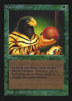 Magic the Gathering International Edition Natural Selection NM MTG (IE) - Image 1