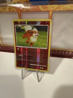 Pokemon TCG - Growlithe - 63/111 - Reverse Holo Common - Rising Rivals - VLP/NM - Image 3