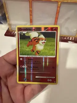 Pokemon TCG - Growlithe - 63/111 - Reverse Holo Common - Rising Rivals - VLP/NM - Image 5