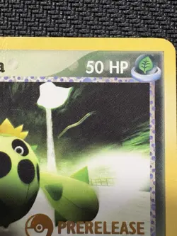 Pokemon TCG Team Aqua's Cacnea Prerelease EX Team Magma VS Team Aqua Promo Card - Image 3