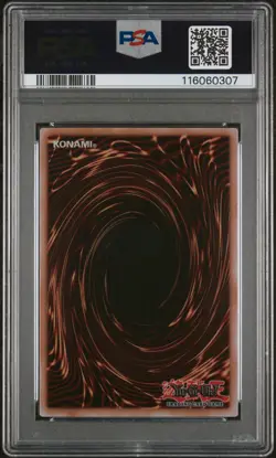 2024 Yu-Gi-Oh! - Dark Magician Girl : Stainless Steel Card Exclusive - PSA 10 - Image 2