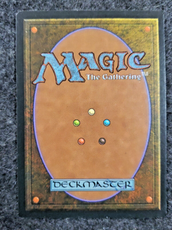 MTG Wall of Bone Revised Edition Uncommon never played NM (DS3D1J6) - Image 2