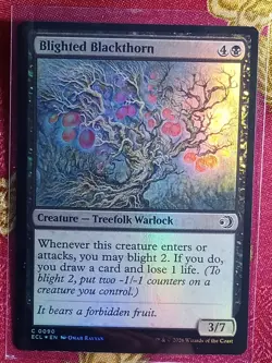 FOIL Blighted Blackthorn Lorwyn Eclipsed Magic The Gathering MTG black card - Image 1