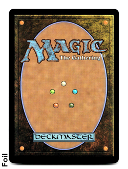 Avatar Destiny (Borderless) - FOIL - [Avatar: The Last Airbender] MTG Magic 🌳 - Image 2