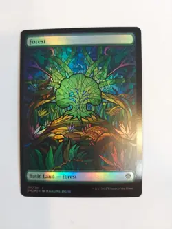Forest (Showcase) Dominaria United Foil - Image 1