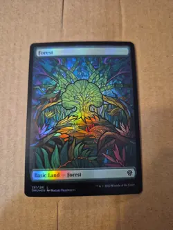 Forest (Showcase) Dominaria United Foil - Image 1