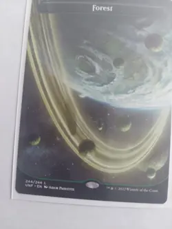 Forest (244) (Borderless) Unfinity Regular - Image 1