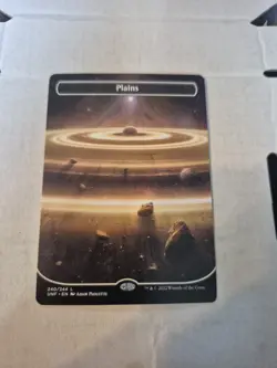 Plains (240) (Borderless) Unfinity Regular - Image 1