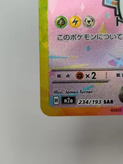 Pokemon Pikachu EX Special Art Rare Full Art Holo 234/193 Japanese Card - Image 4