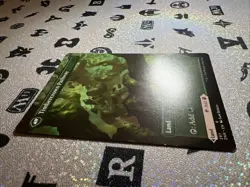 MTG - Cragcrown Pathway (Borderless) Zendikar Rising Regular NM - Image 4