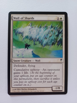 Wall of Shards #23 | Coldsnap - LP English MTG - Image 1