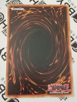 Yugioh - Timaeus The United Magical Dragon MZMU-EN012 Collector's Rare 1st Ed NM - Image 2