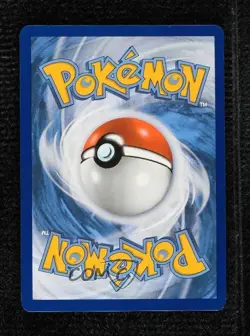 Pikachu (Paldea Adventure Chest) Holo Pokemon Scarlet & Violet Black Star Promo - Image 2