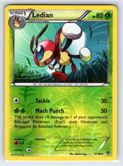 Ledian 7/146 2014 XY Base Set Pokemon Card Nintendo Reverse Holo Uncommon - Lp - Image 1