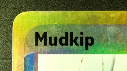 Mudkip 65/97 Reverse Holo Pokemon EX Dragon 2003 Vintage LP/MP - Image 4