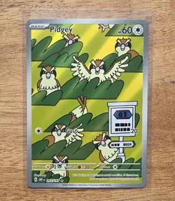 Pokemon TCG Pidgey Obsidian Flames 207/197 Illustration Rare IR Full Art Holo NM - Image 3