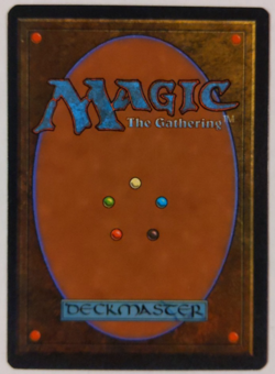 MTG Mystic Remora NM Ice Age Enchantment – Commander Staple - Image 4