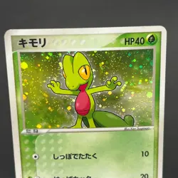 [No Import Duty (US)] Mudkip 003/019 Torchic Treecko 3set Japanese Pokemon Card - Image 3