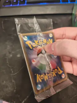 2016 Japanese Pokemon Center Poncho Pikachu Rayquaza Special Box - Image 3