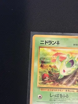 1998 POKEMON JPN VENDING SERIES 1 NIDORAN-GLOSS - Image 4