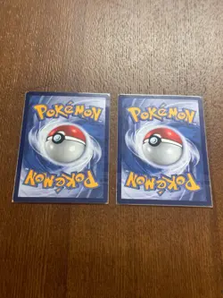 Pokemon TCG Bahasa Indonesia Language Plusle & Minun Toys Kingdom Promo Card - Image 2