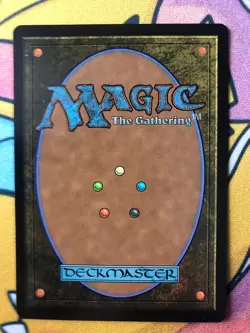 The Wandering Minstrel MTG (Borderless) (Surge Foil) Near Mint - Image 3