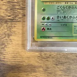 Pokemon Vileplume Southern Island Promo Holo Japanese PSA 10 — POPULATION: 90🌟 - Image 4