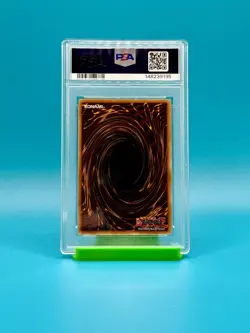 PSA 9 - 2024 Yu-Gi-Oh! MP24, Toon Kingdom, 1st Edition - Image 2