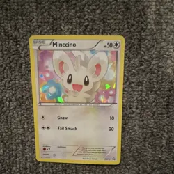 Pokemon Minccino Black & White BW13 Promo Holo Basic 50 HP English TCG - Image 1