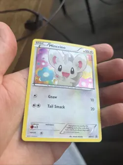 Minccino - (Cosmos Holo) BW13 Black & White Holo Pokemon TCG Promo - Image 3